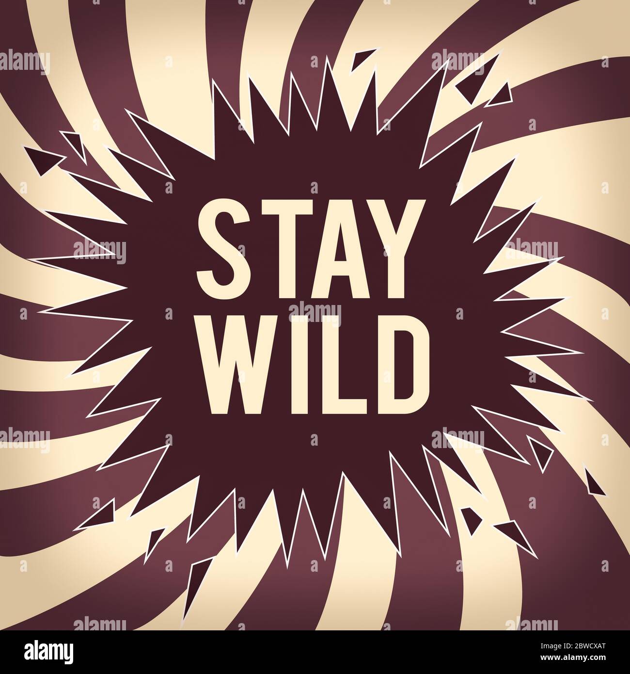 Conceptual hand writing showing Stay Wild. Concept meaning end up being  extremely energetic throughout the entire day Exploding Cracking Breaking  Spee Stock Photo - Alamy