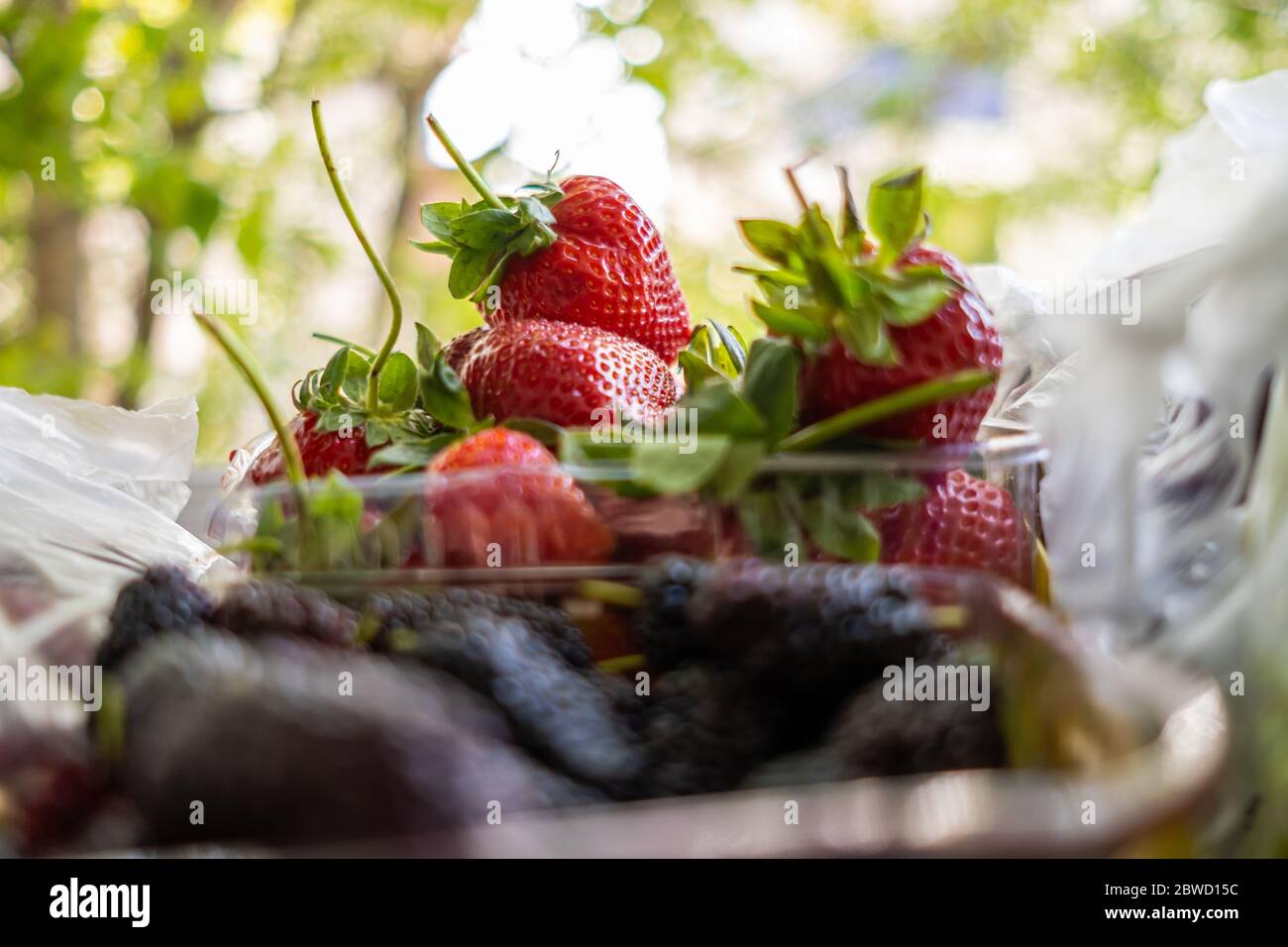 Mulberry bag close up hi-res stock photography and images - Alamy