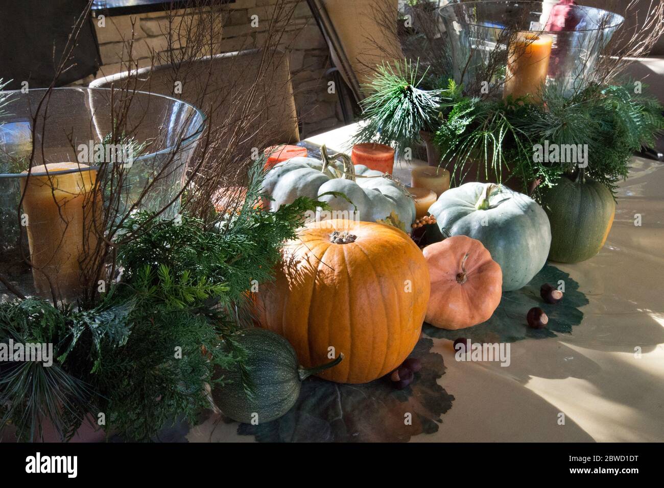 Falll table centerpiece with Pumpkins and candles Stock Photo - Alamy