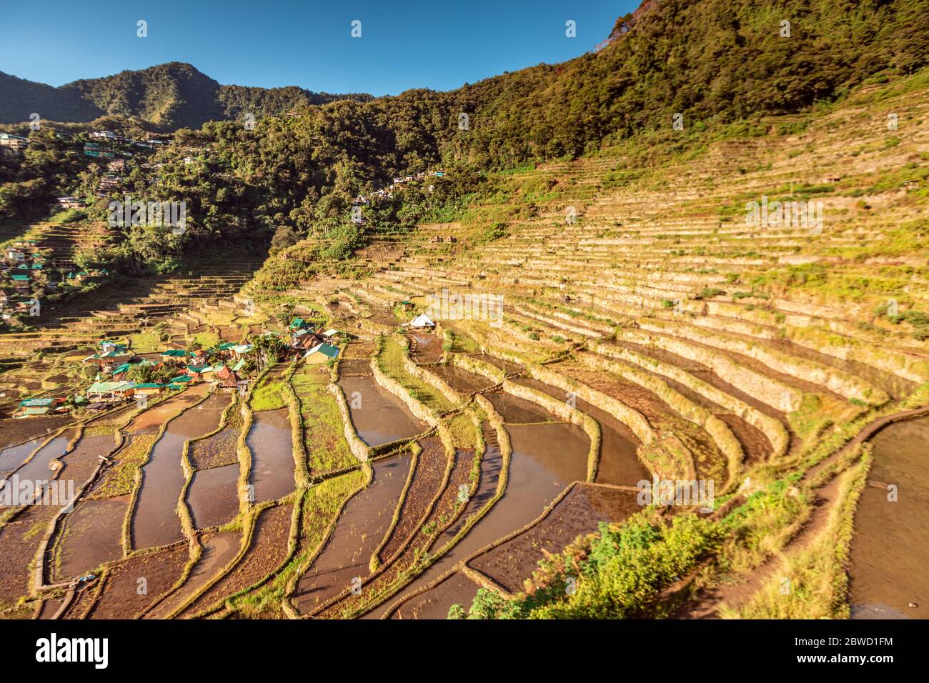 Batad Rice Terraces in Banaue Philippines Stock Photo