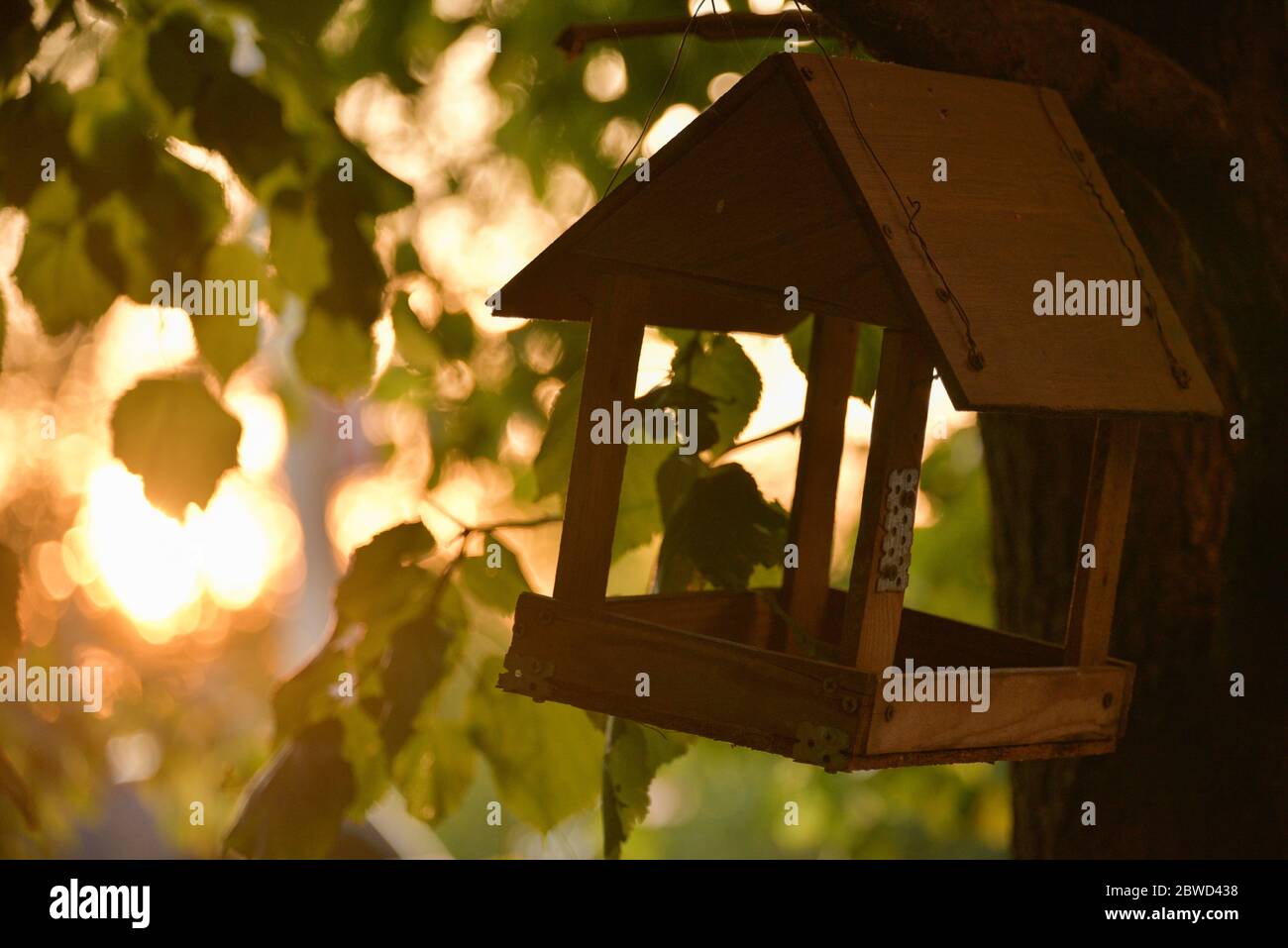 Birdhouse on a tree branch. wooden birdhouse on a tree in the forest