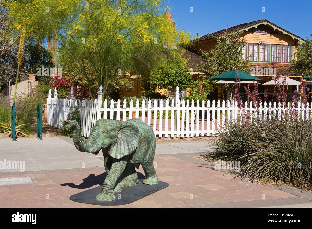 Coffee Shop, Mesa City, Greater Phoenix Area, Arizona, USA Stock Photo