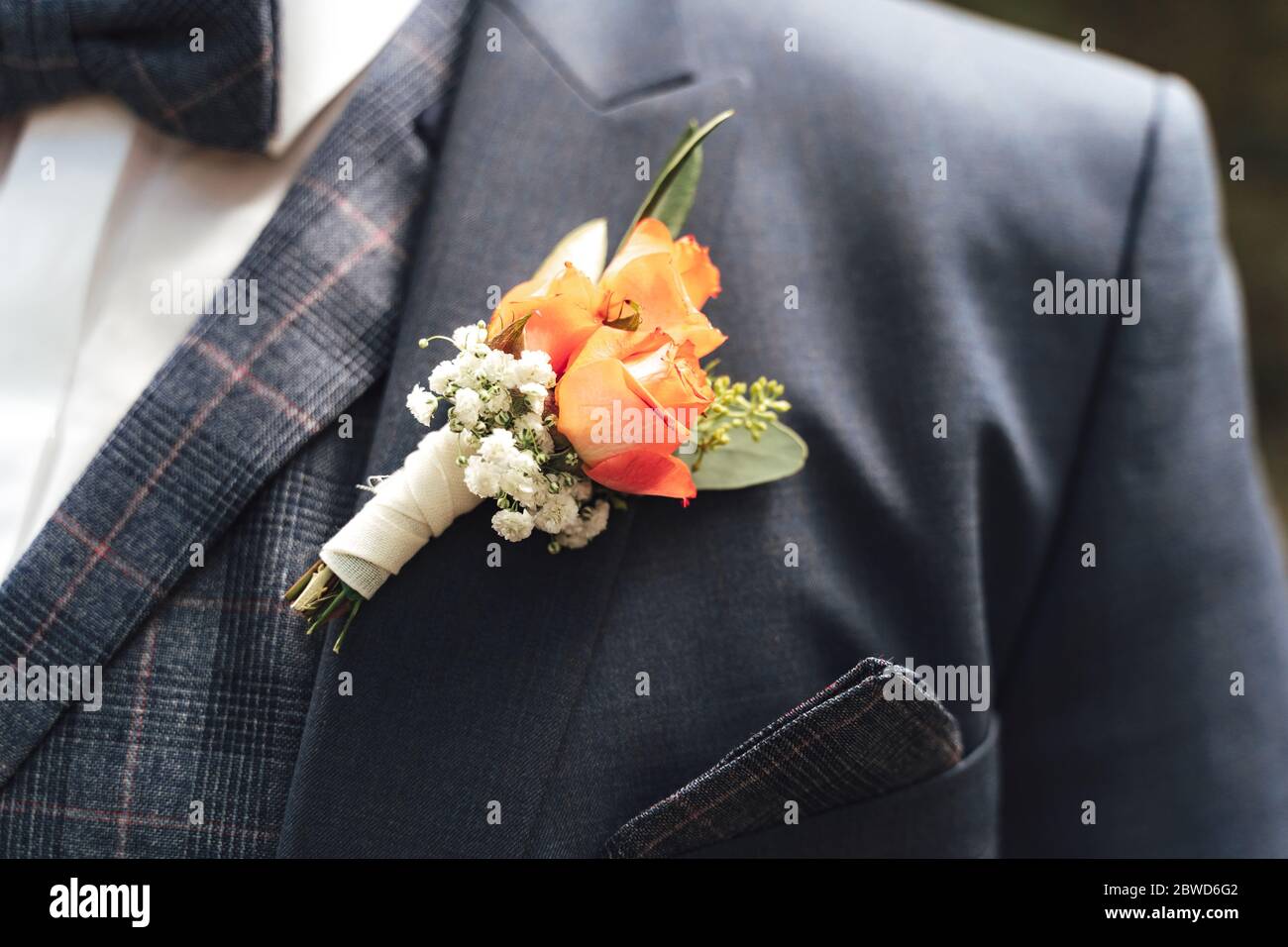 Close up of pink rose wedding boutonniere on groom's suit. Beautiful posy on lapel of jacket. Wedding day concept. Stock Photo