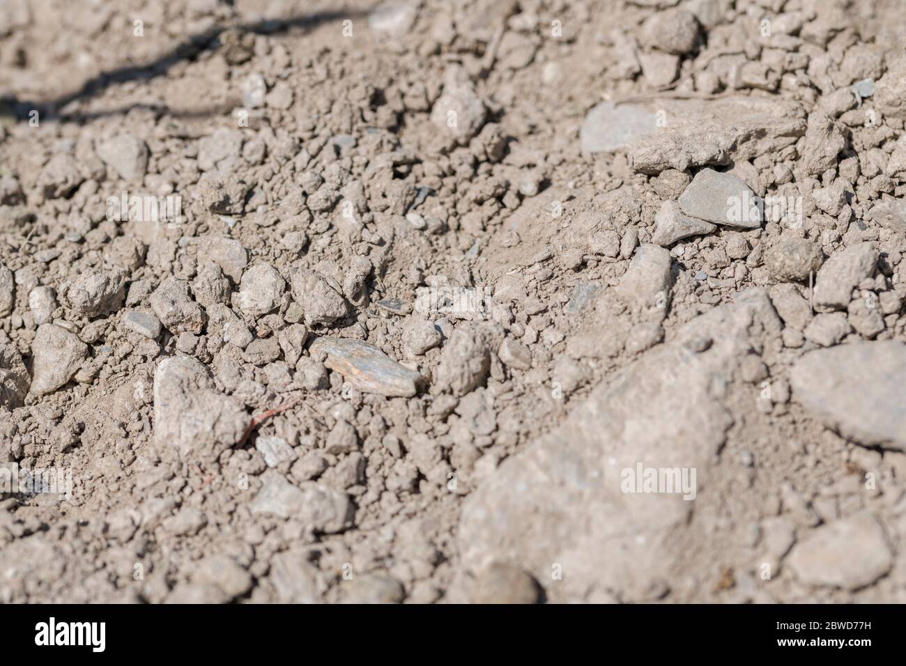Lumps of dry soil in tilled / ploughed field. For scorched earth, World Water Day, drought in UK, bone-dry, parched soil, lifeless soil structure. Stock Photo