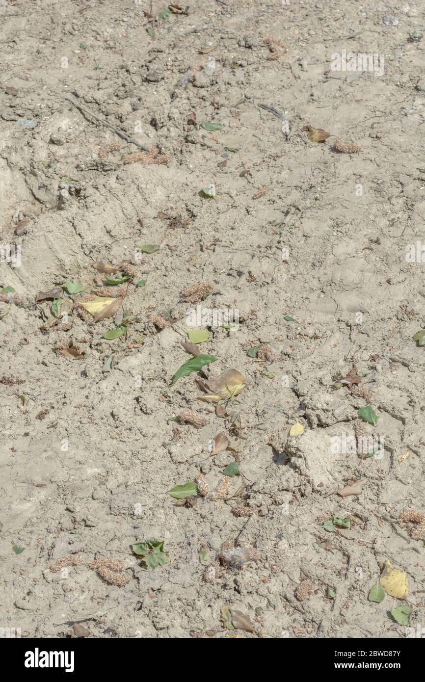 Lumps of dry soil in a tilled / ploughed field. Metaphor for scorched earth, World Water Day, drought, bone-dry, parched soil, death, lifeless soil. Stock Photo