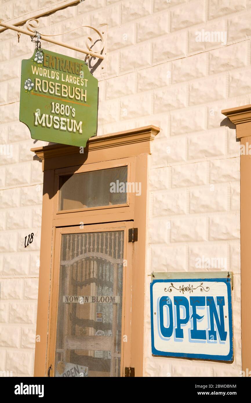 The Rose Tree Museum, Tombstone, Cochise County, Arizona, USA Stock Photo