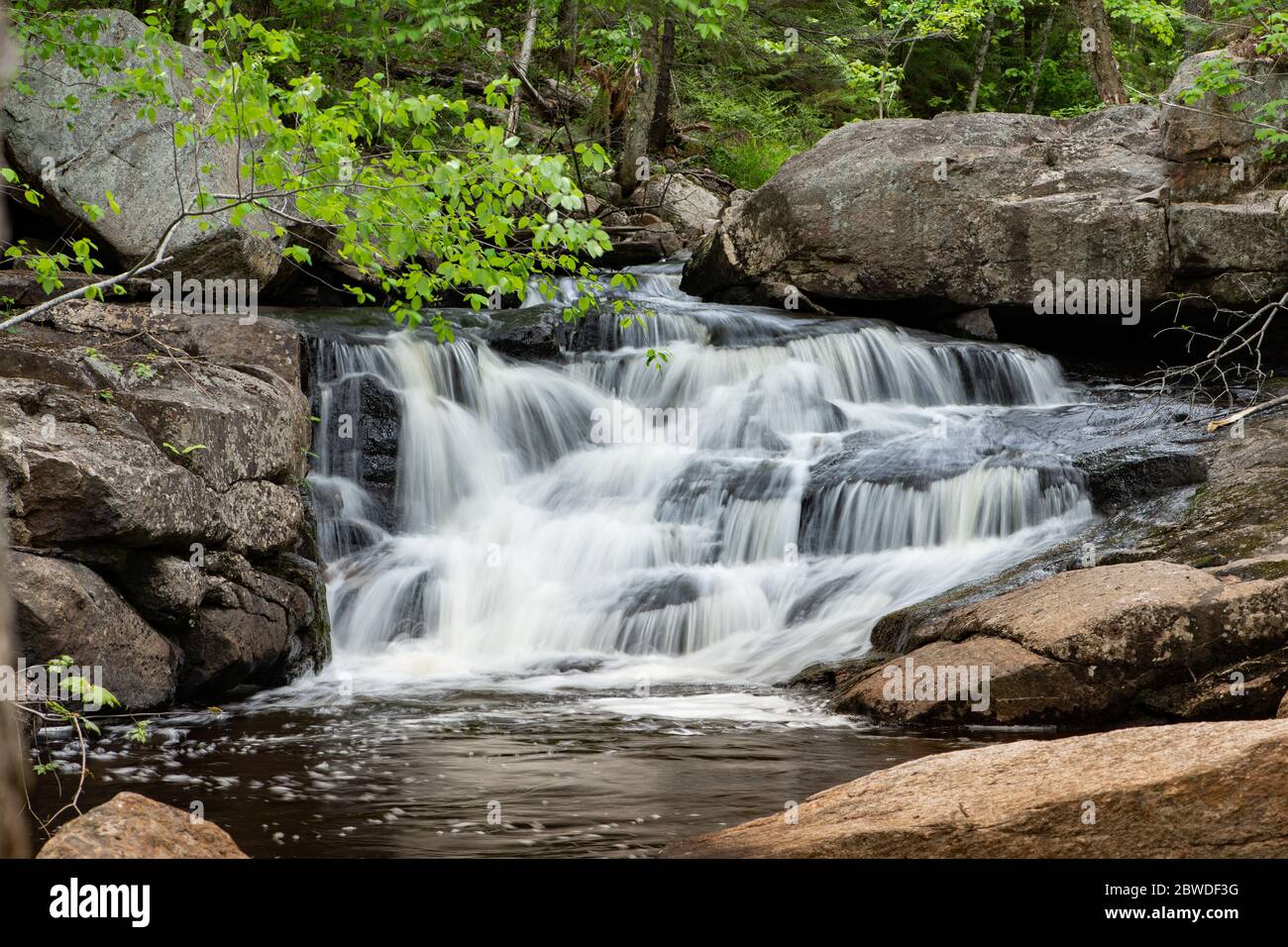 A small unnamed waterfall on Hatchery Brook in the Adirondack Mountains near Speculator, NY USA Stock Photo