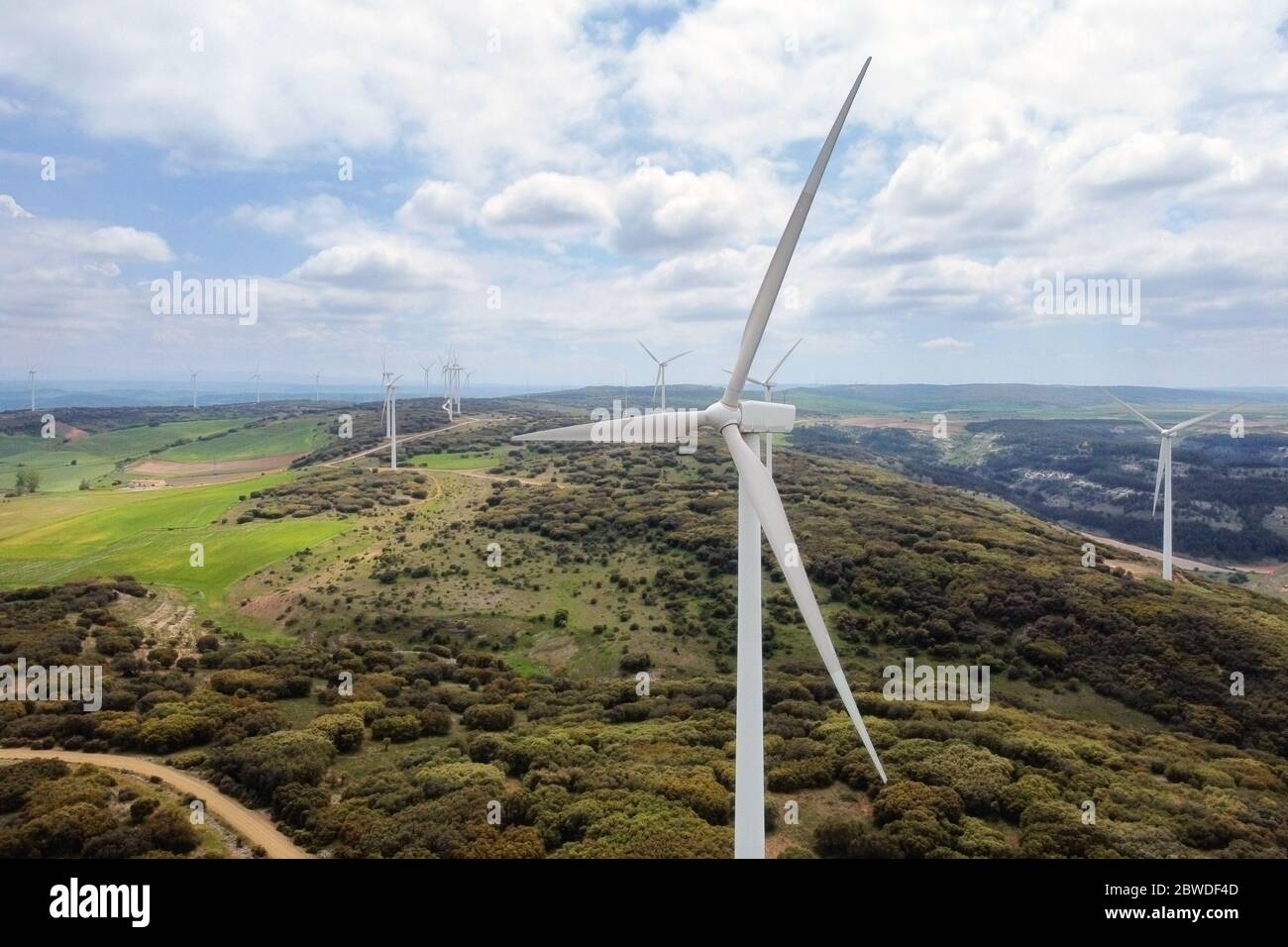 Aerial view of windmills farm for clean energy production on beautiful cloudy sky. Wind power turbines generating clean renewable energy for sustainable development . Stock Photo