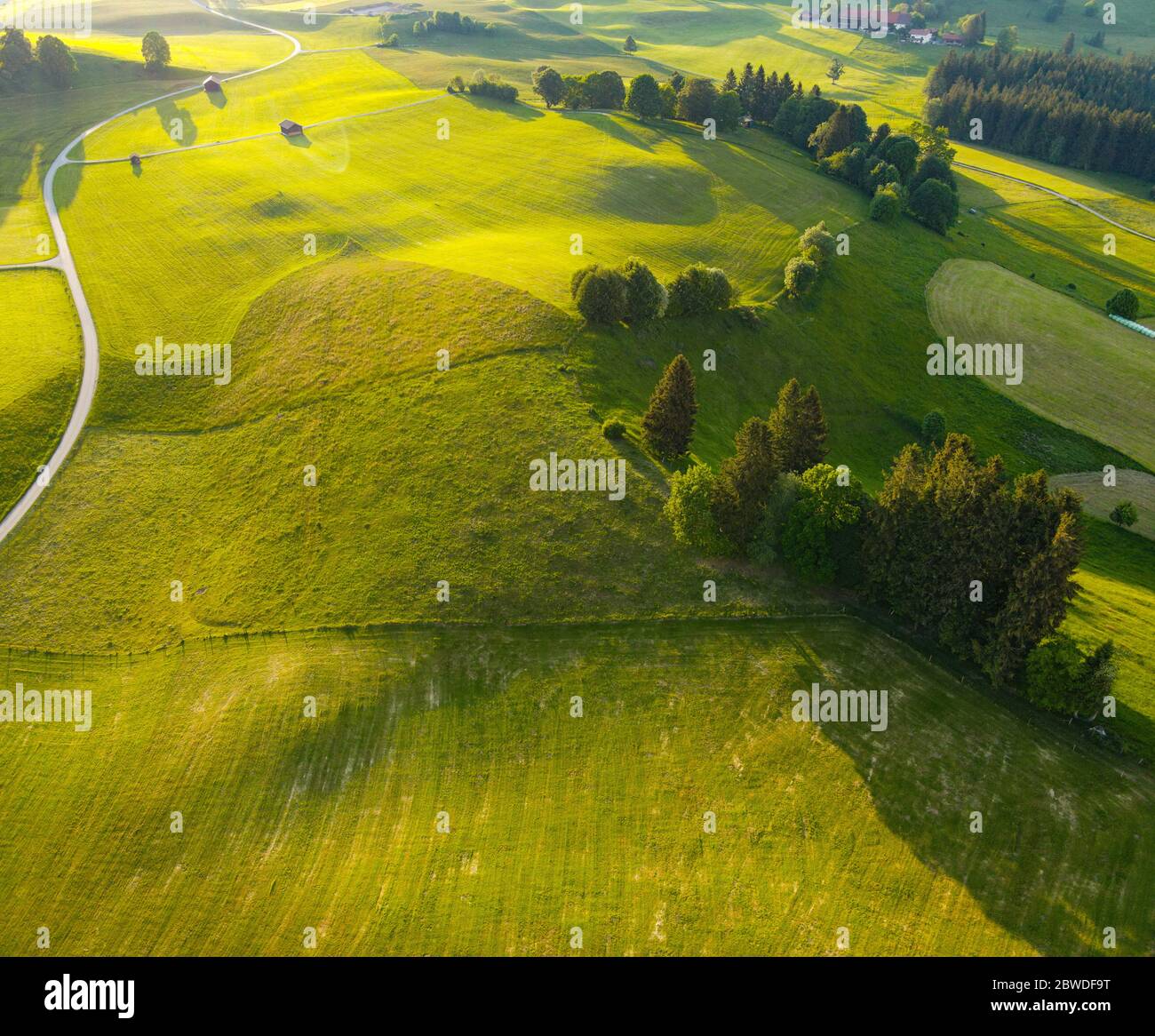 Amazing nature of Bavaria in the Allgau district of the German Alps ...