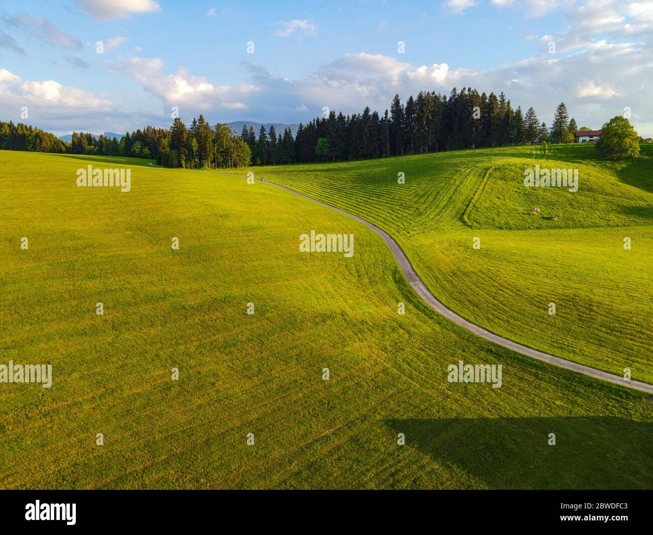 Amazing nature of Bavaria in the Allgau district of the German Alps ...