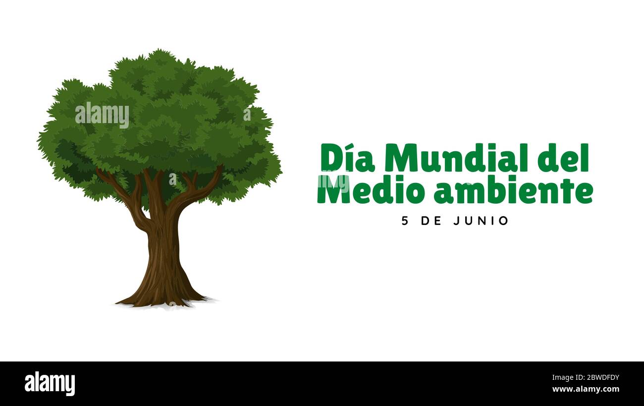 Poster, banner or illustration related to environment. Illustration for world day with text in spanish. Tree with text in spanish for june 5. White ba Stock Photo