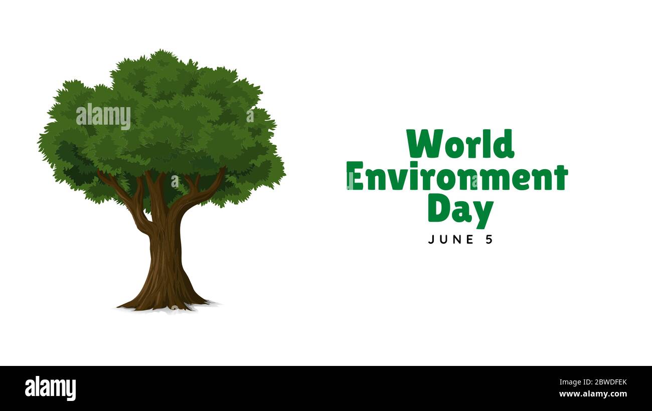 Poster, banner or illustration related to environment. Illustration for world day. Tree with text in spanish for june 5. White background. Copy space. Stock Photo