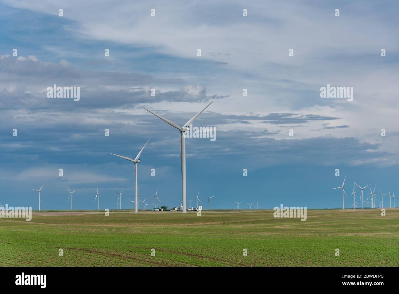 Blackspring Ridge Wind turbines located in South Eastern Alberta close to Carmangay ...