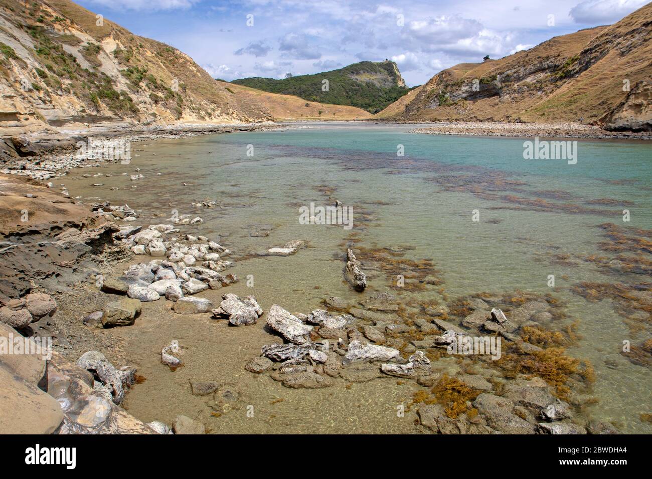 Cooks Cove at Tolaga Bay Stock Photo