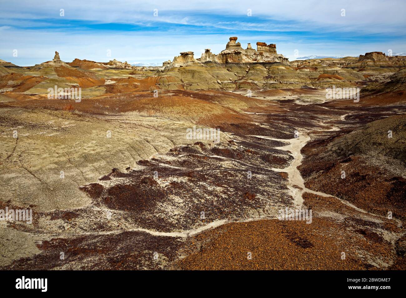 NM00306-00...NEW MEXICO - The colors of the Bisti Wilderness. Stock Photo