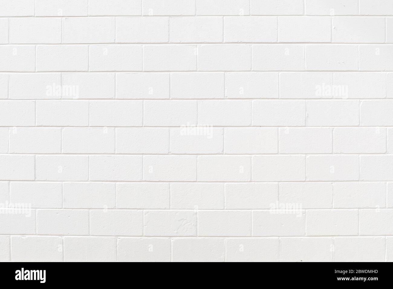 Backdrop of white painted concrete block in running bond pattern