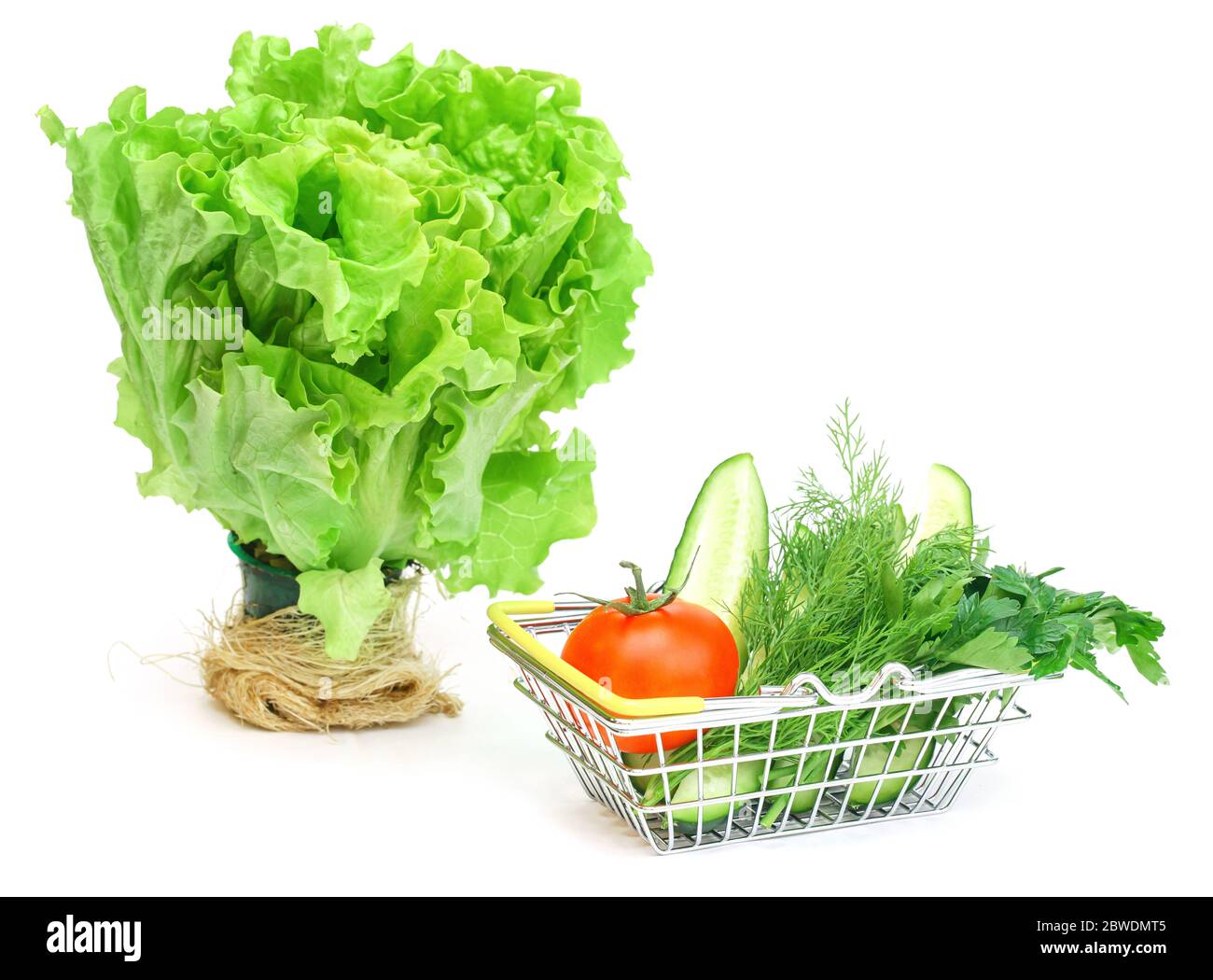 a small shopping basket with herbs, cucumber, tomato, parsley next to a fresh potted green salad on a white background. Healthy food, vegetarian food, Stock Photo