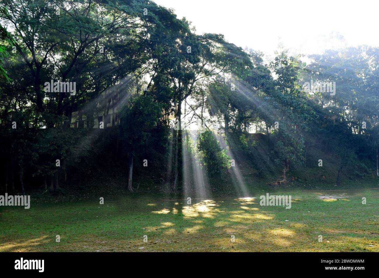 First ray of spring hi-res stock photography and images - Alamy