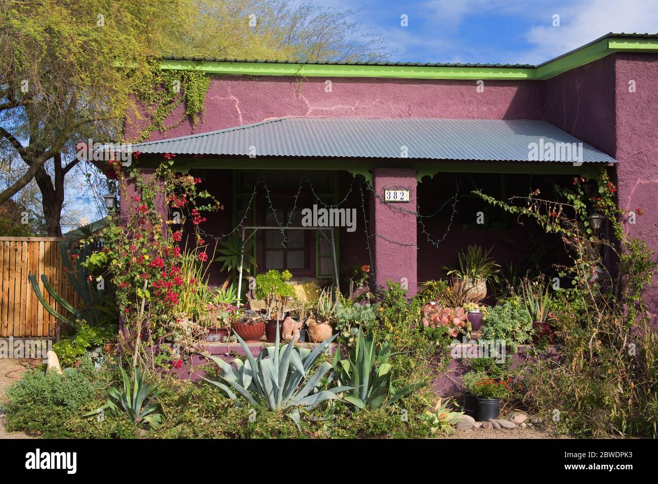 Garden, El Presidio Historic District, Tucson, Arizona, USA Stock Photo