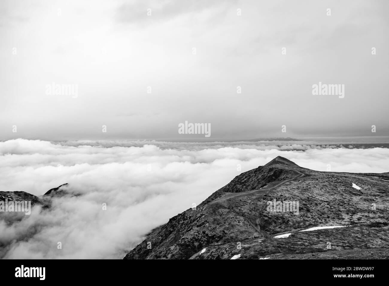 Treeline trail Black and White Stock Photos & Images - Alamy