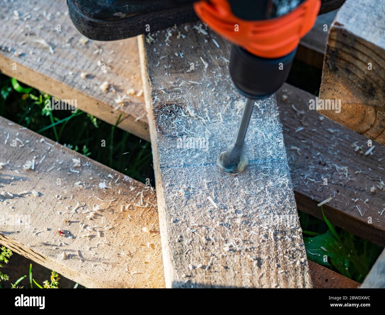 Making holes in a pine beam using an electric drill with wood drilling bit Stock Photo