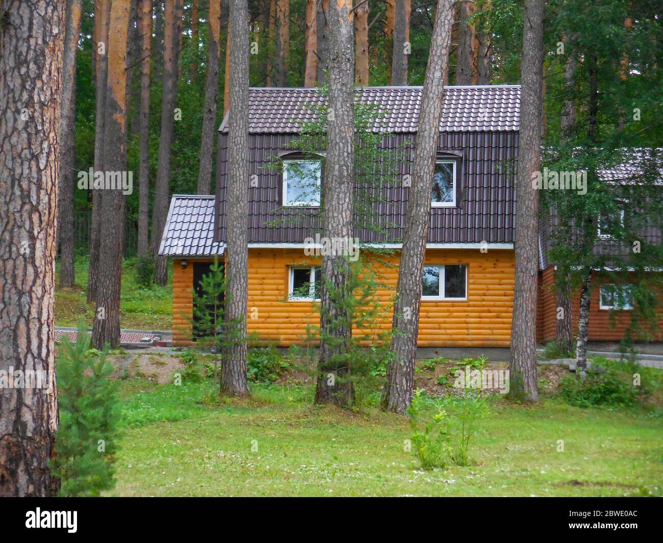 chelyabinsk, russia 06 06 2019: Russian wooden house in the trunk of trees in nature. Wooden house among the pine trees. Stock Photo