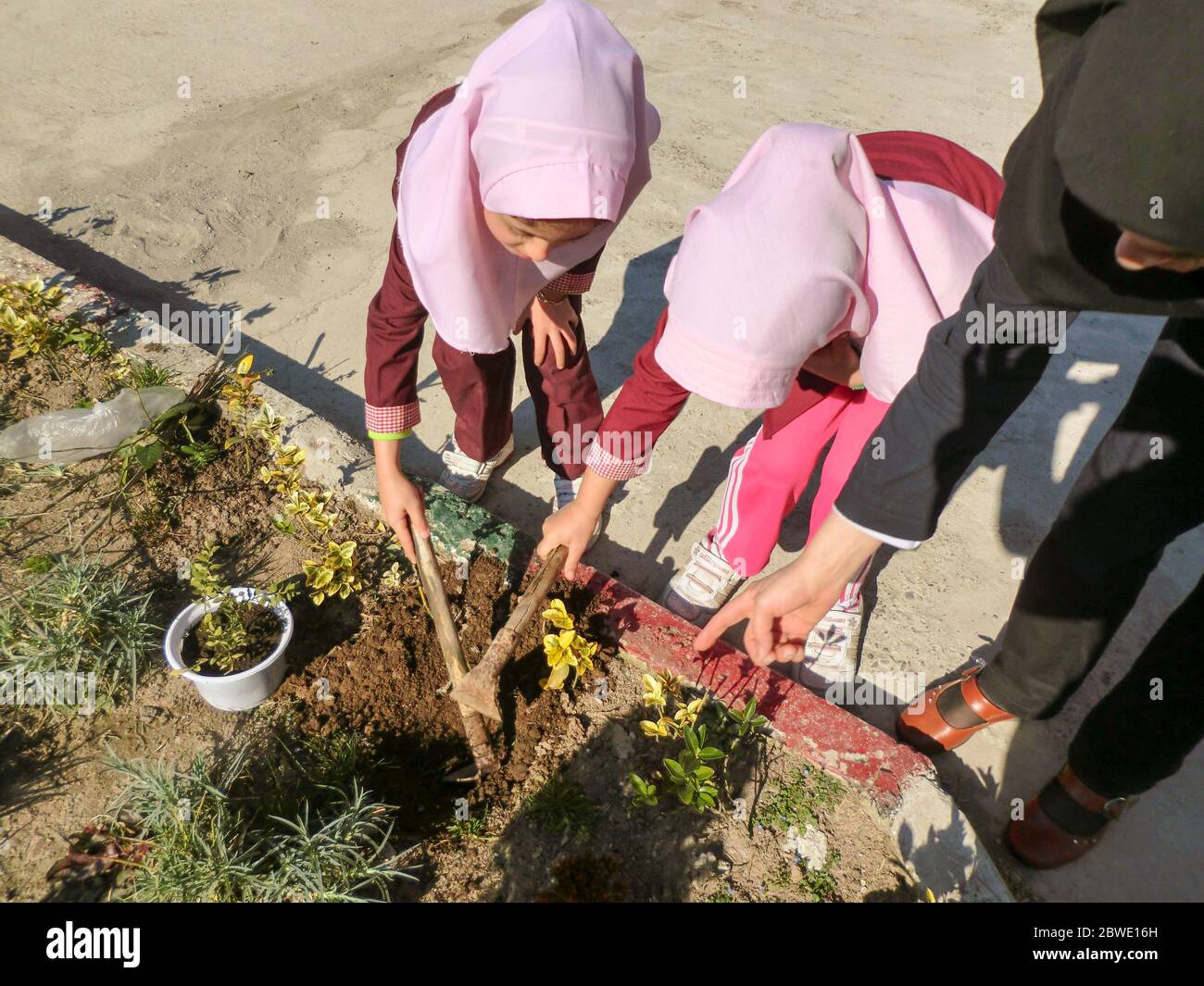 Rasht, Gilan, Iran, 05 05 2019. Planting a tree at a girls' school in Iran on the day of planting. Earth day at school. Teaching students to plant tre Stock Photo