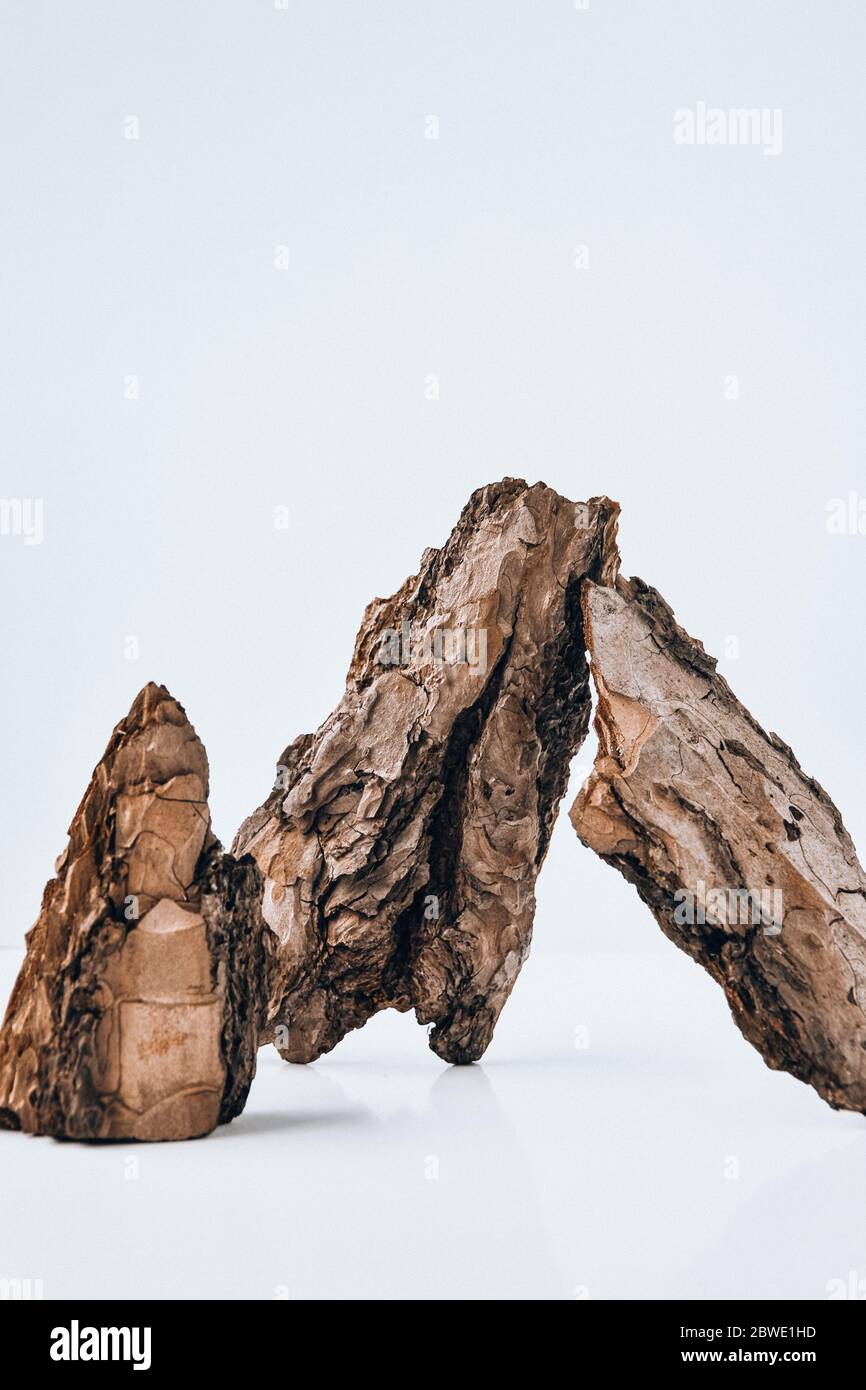 Tree Bark or Garden Mulch Isolated on White Background Stock Photo Alamy