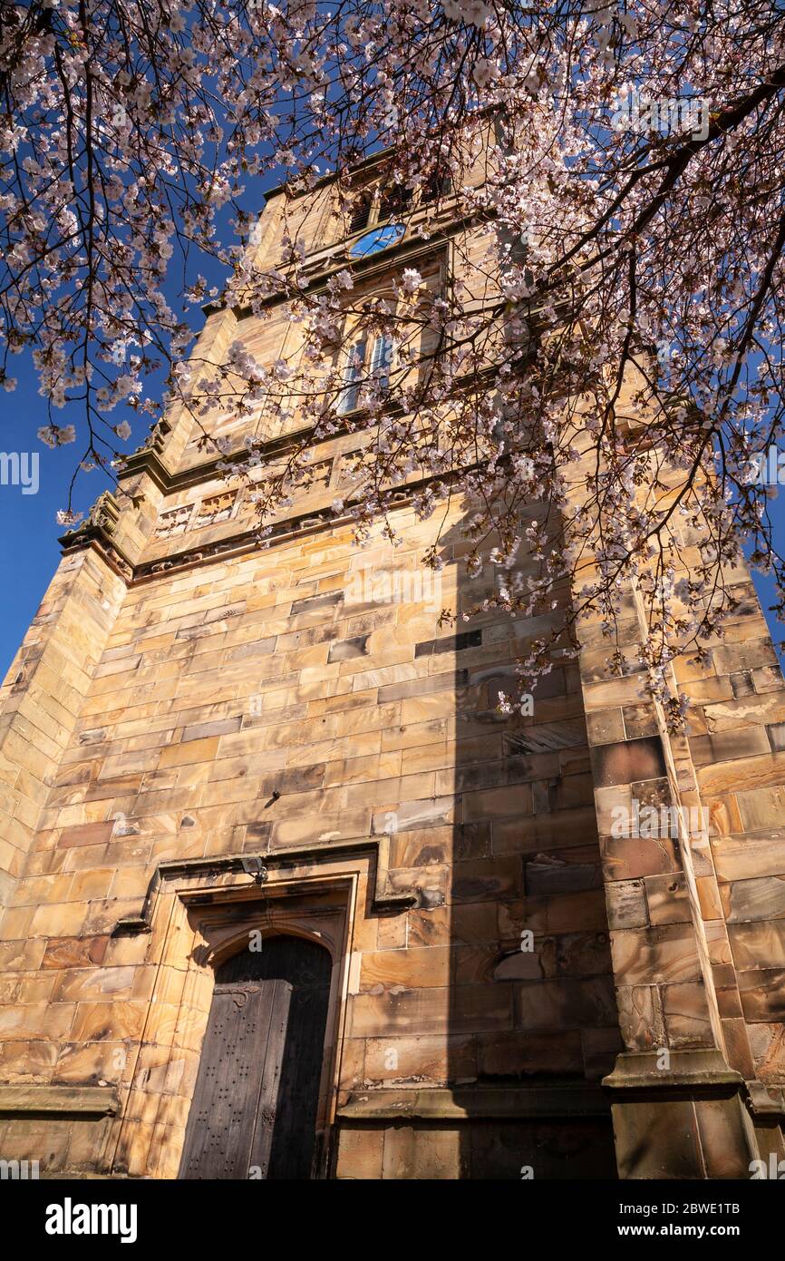 Saint Marys parish church Mold with spring blossom Stock Photo