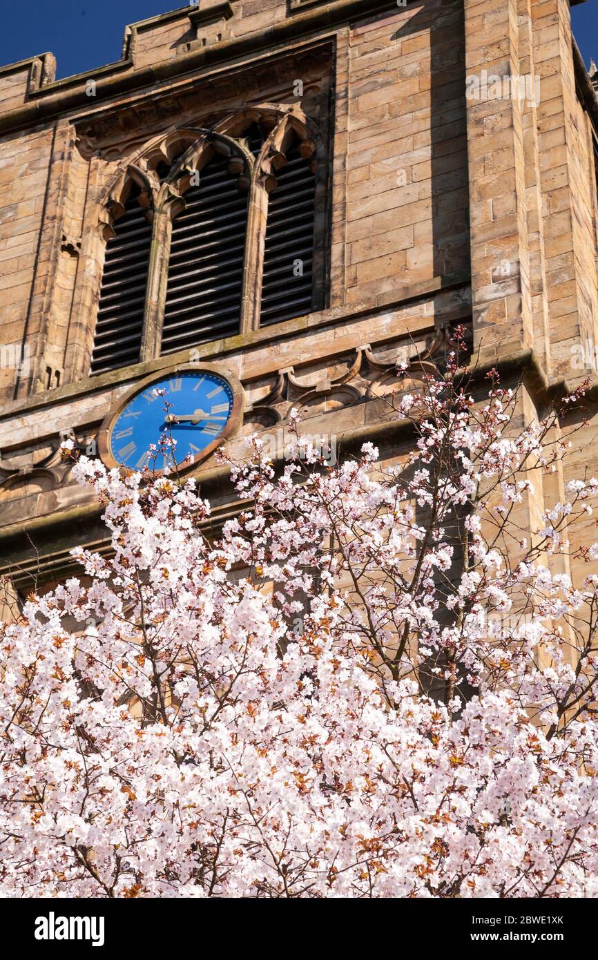 Saint Marys parish church Mold with spring blossom Stock Photo