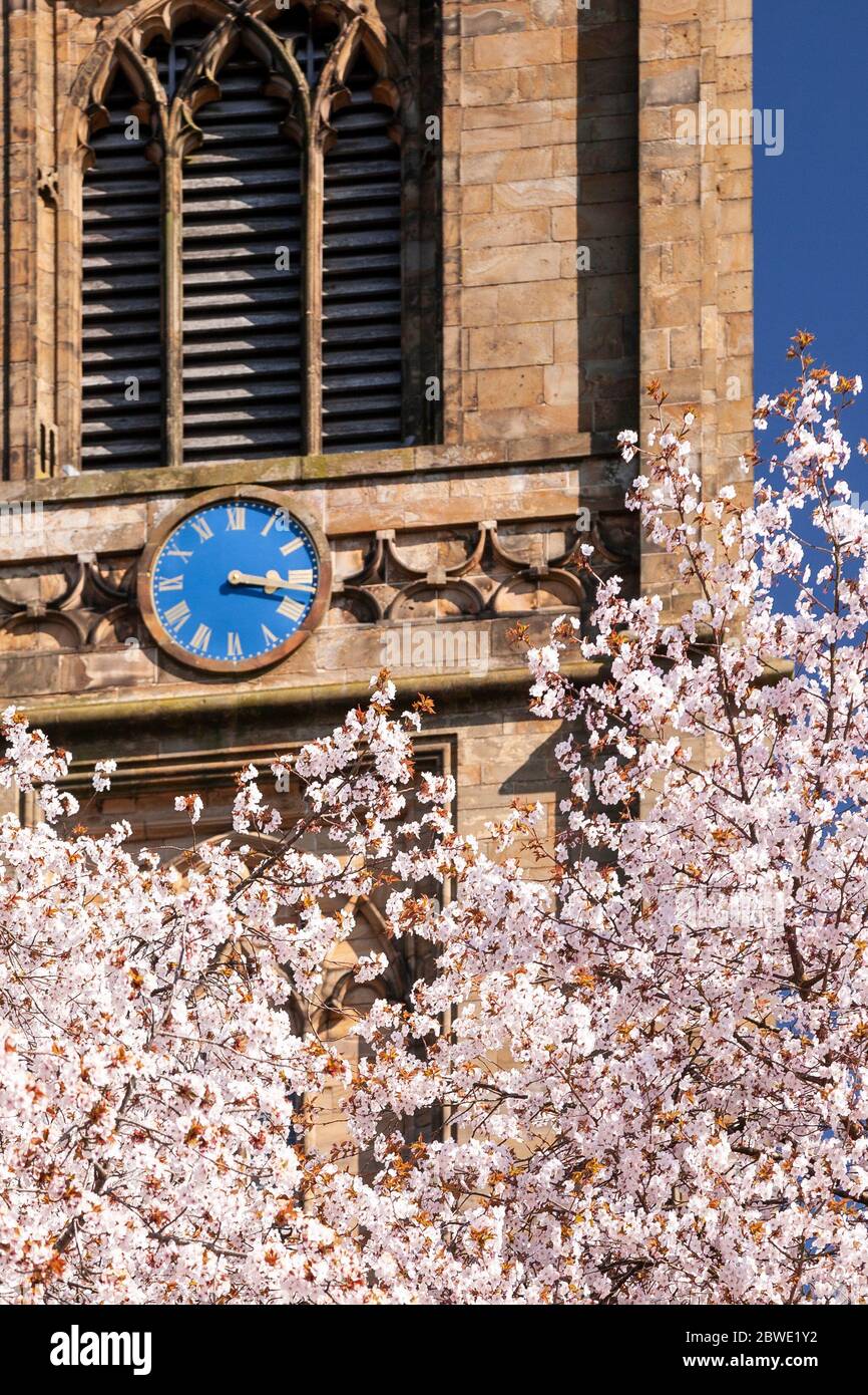 Saint Marys parish church Mold with spring blossom Stock Photo