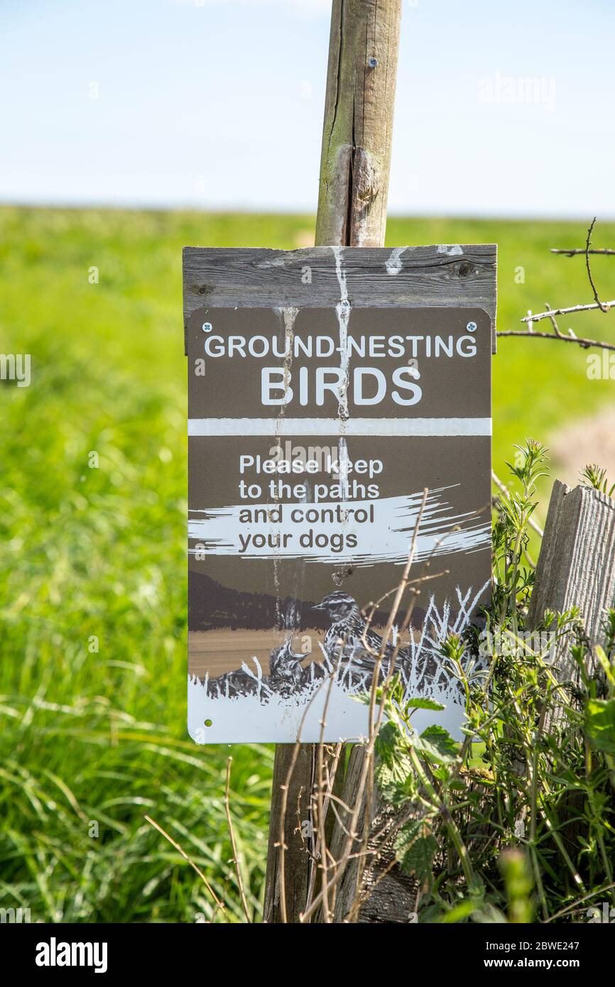 Ground-nesting birds sign about keeping to paths and controlling dogs