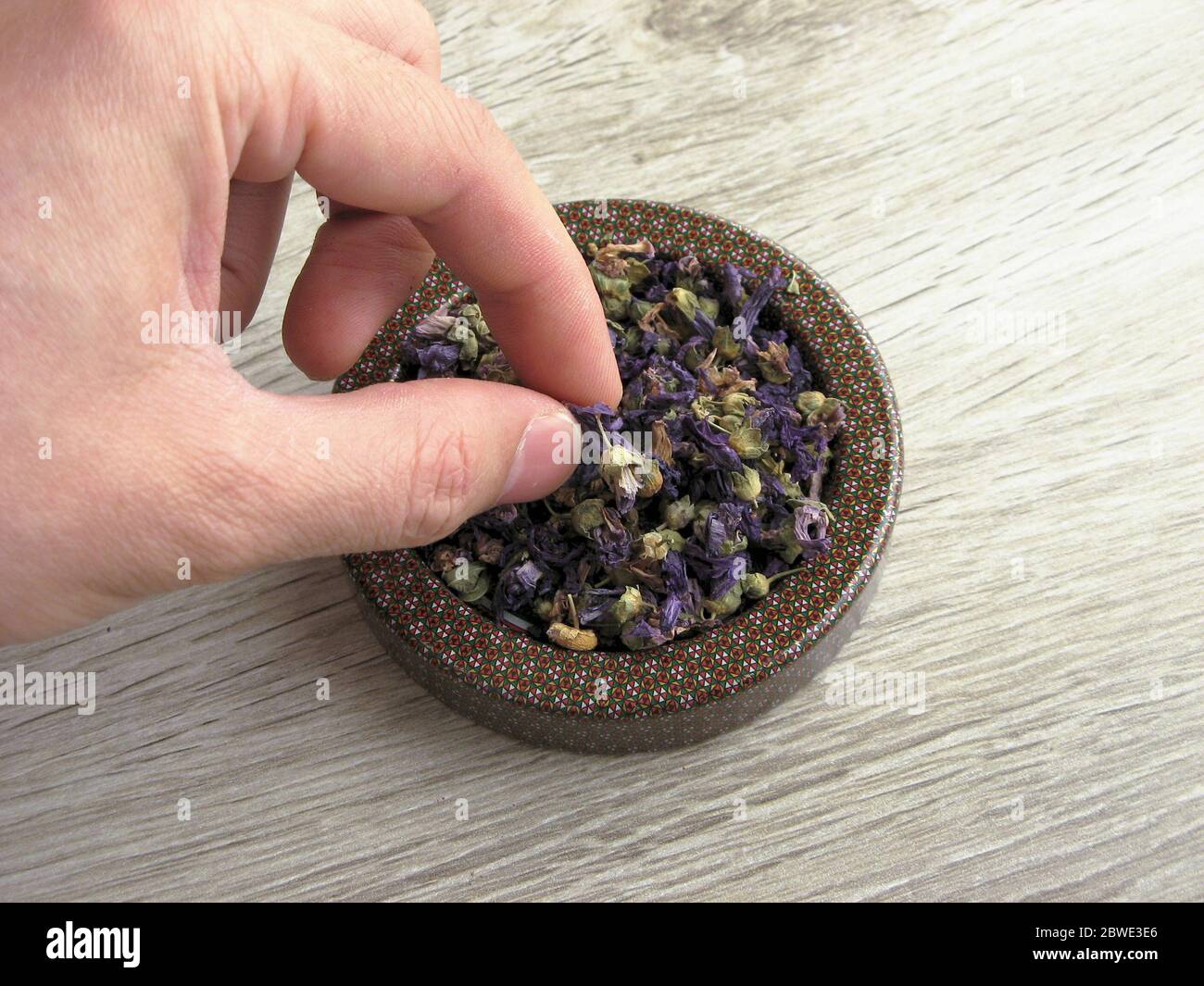 Organic Blue Mallow Flowers With Male Hand Dry Mallow Flower For Infusion Stock Photo Alamy