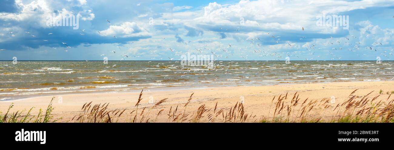 Panoramic view to coastline of Lake Peipus, biggest lake in Estonia. Europe Stock Photo