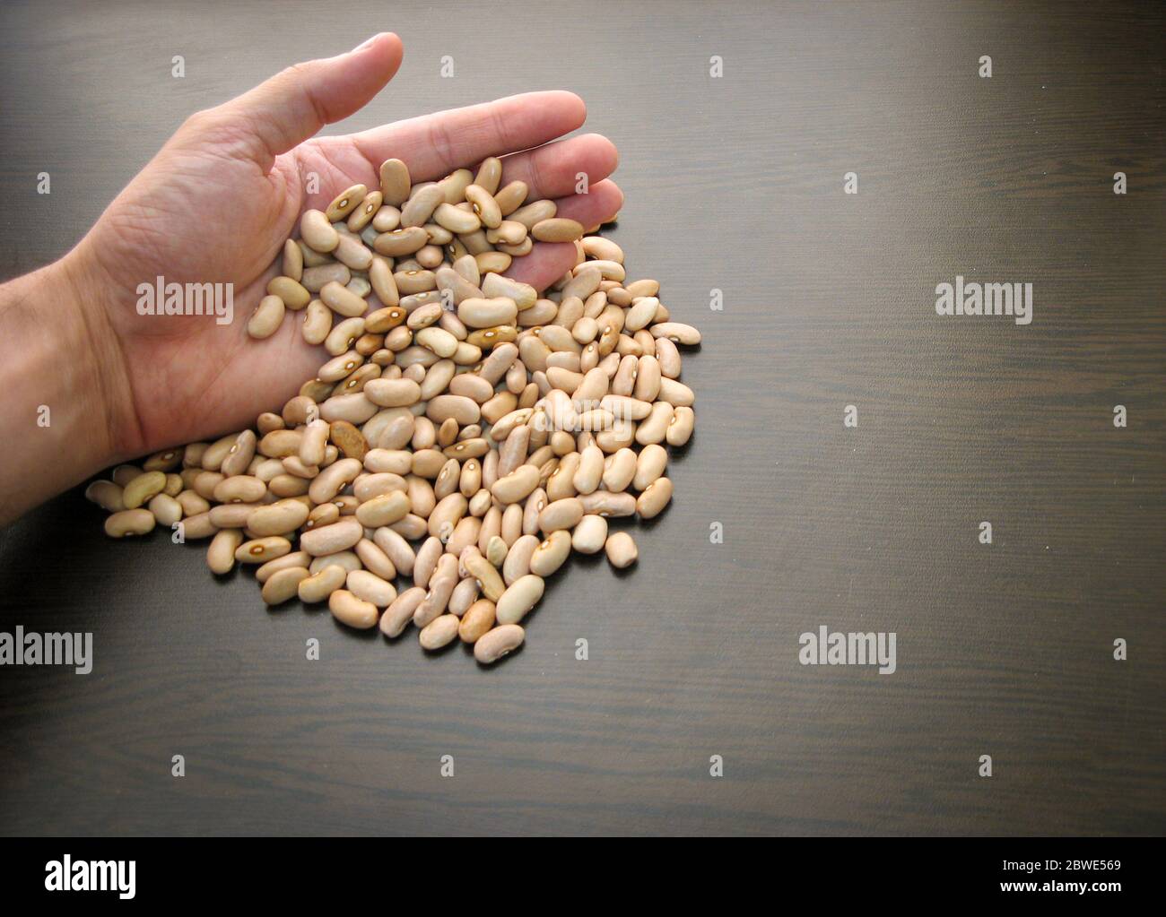 Arikara yellow bean hi-res stock photography and images - Alamy