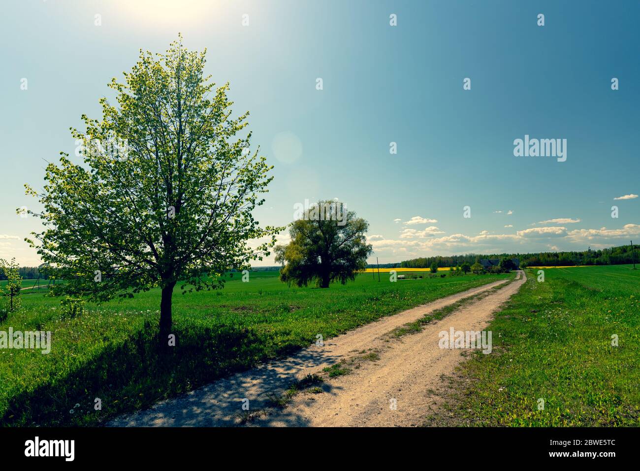 Dirt road in the spring field Stock Photo