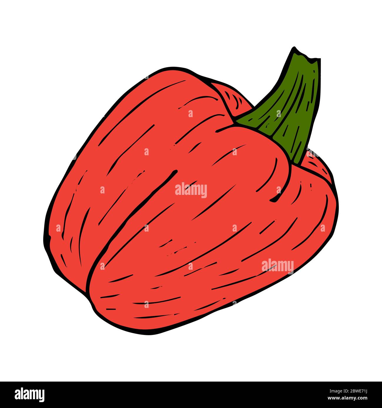 Bell pepper red sketch black line isolated on white background vector ...