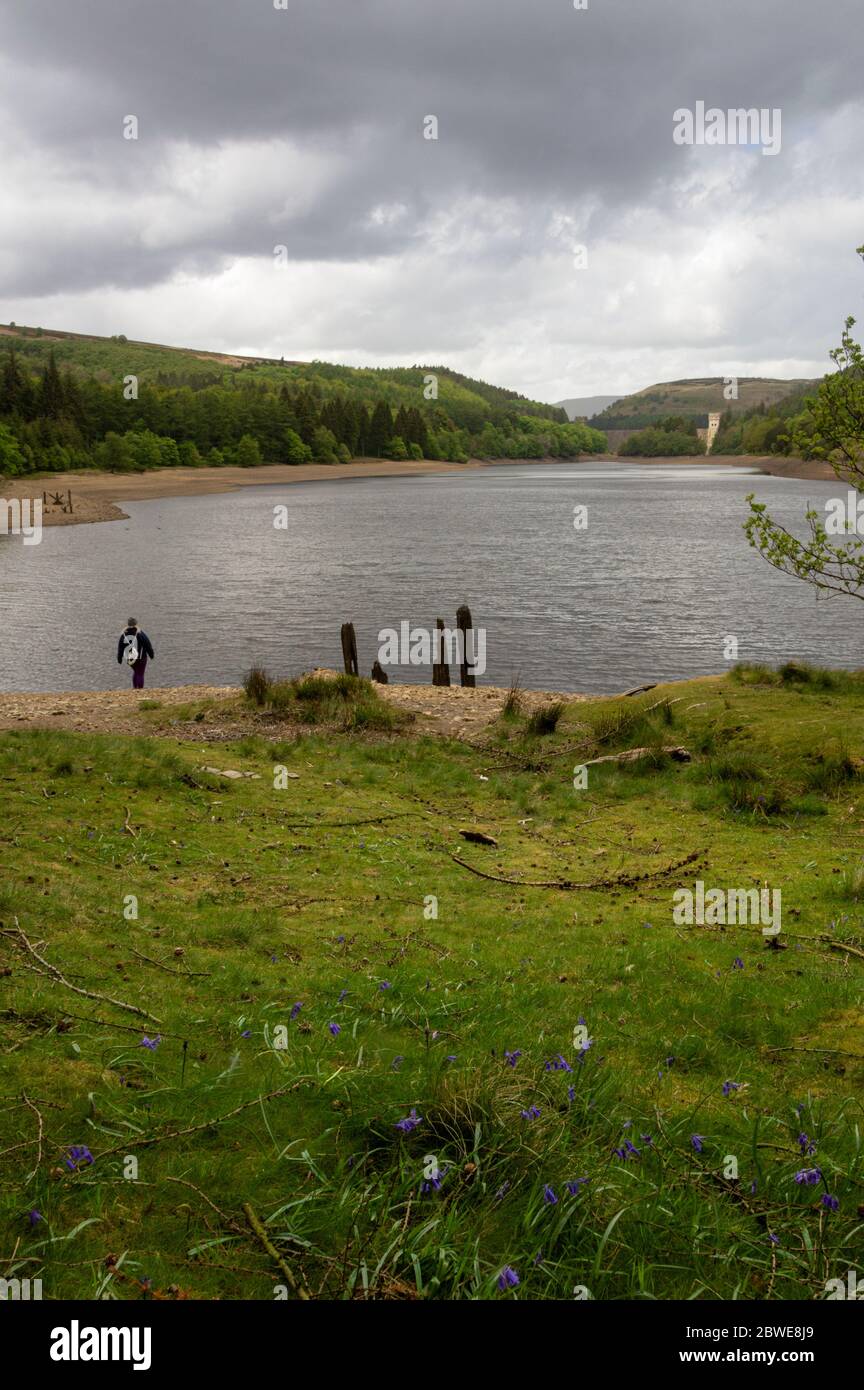 Howden dam in the distance whilst a walker looks out across derwent reservoir in the Peak District, UK Stock Photo