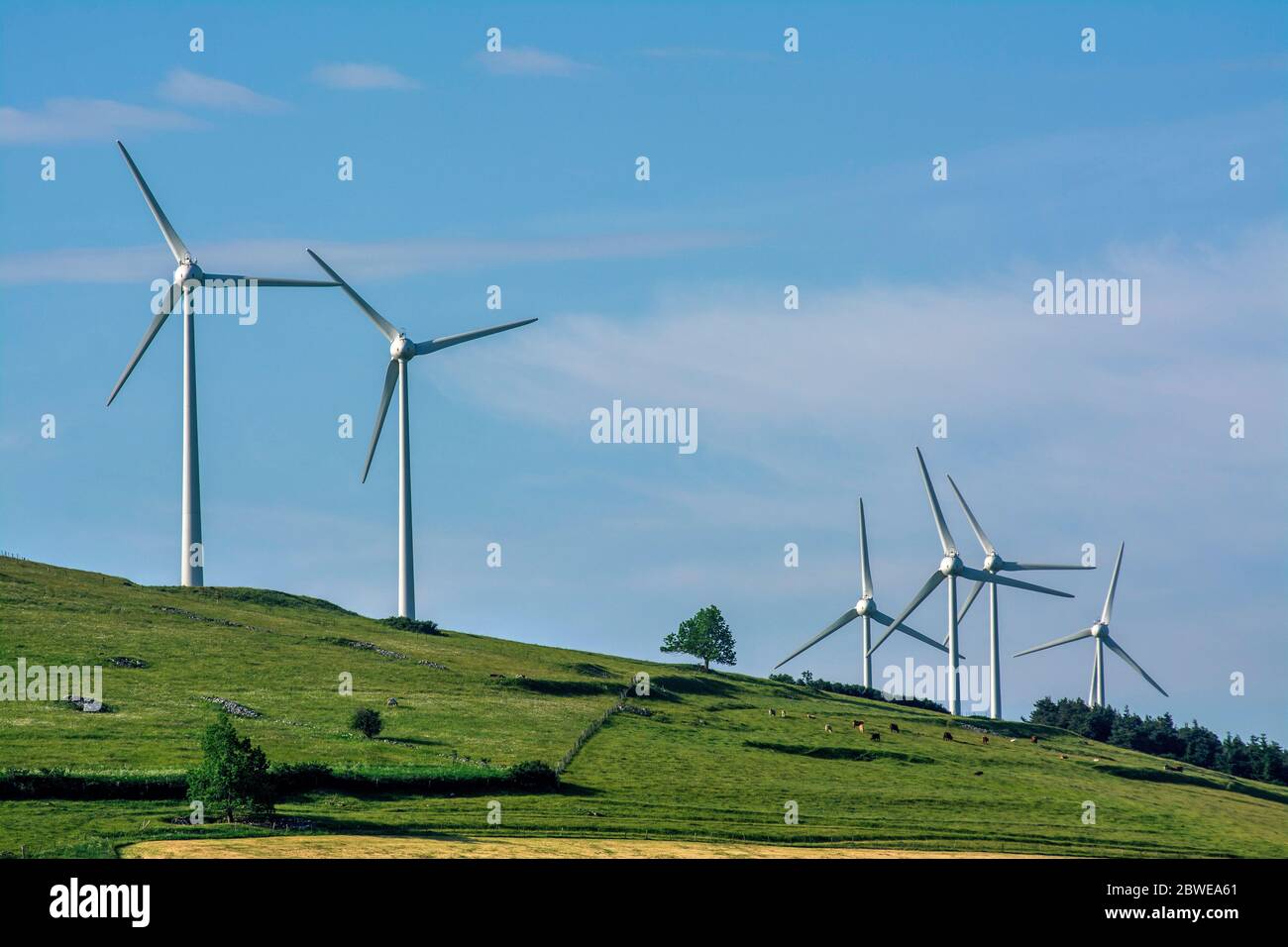 Wind turbines. Plateau of Cezallier. Regional Nature Park of Volcans d'Auvergne. Puy de Dome. Auvergne. France Stock Photo