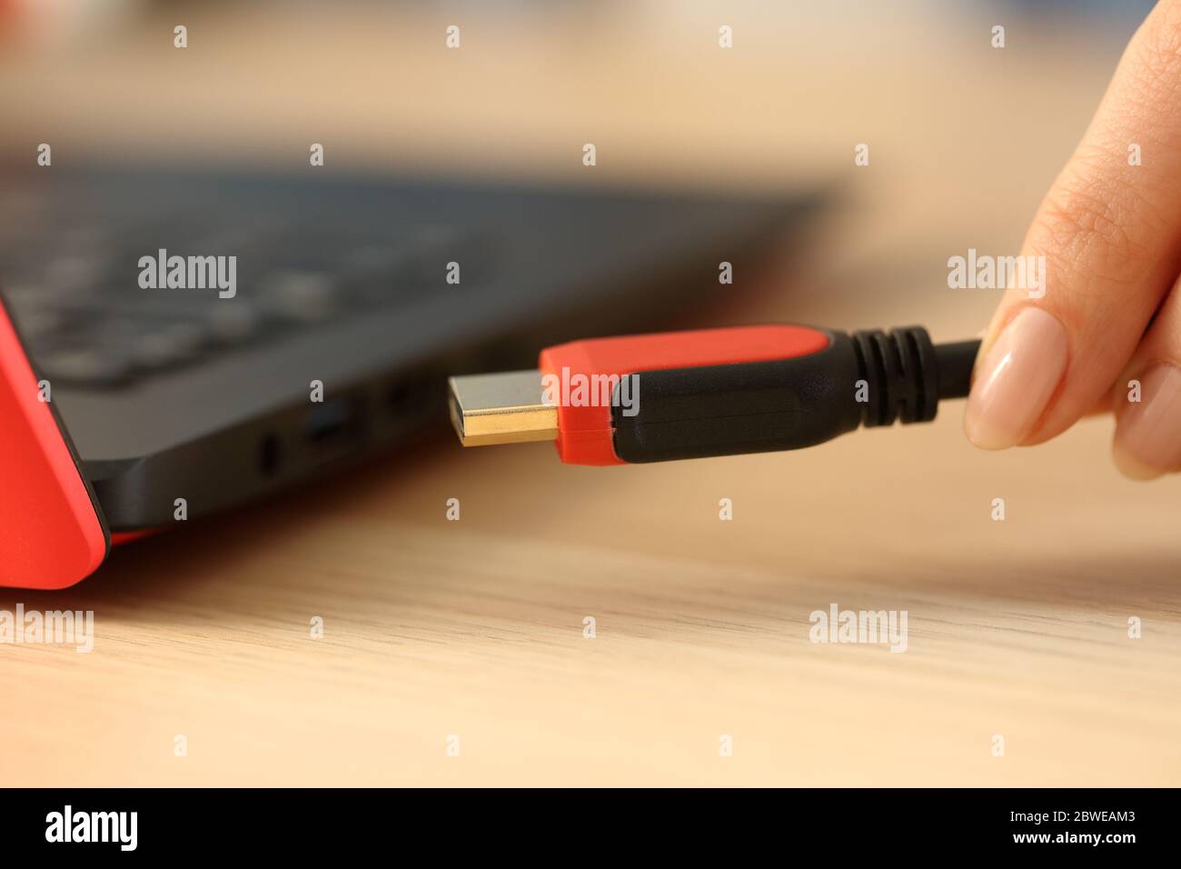 Close up of woman hands plugging hdmi cable on laptop on a desk Stock Photo