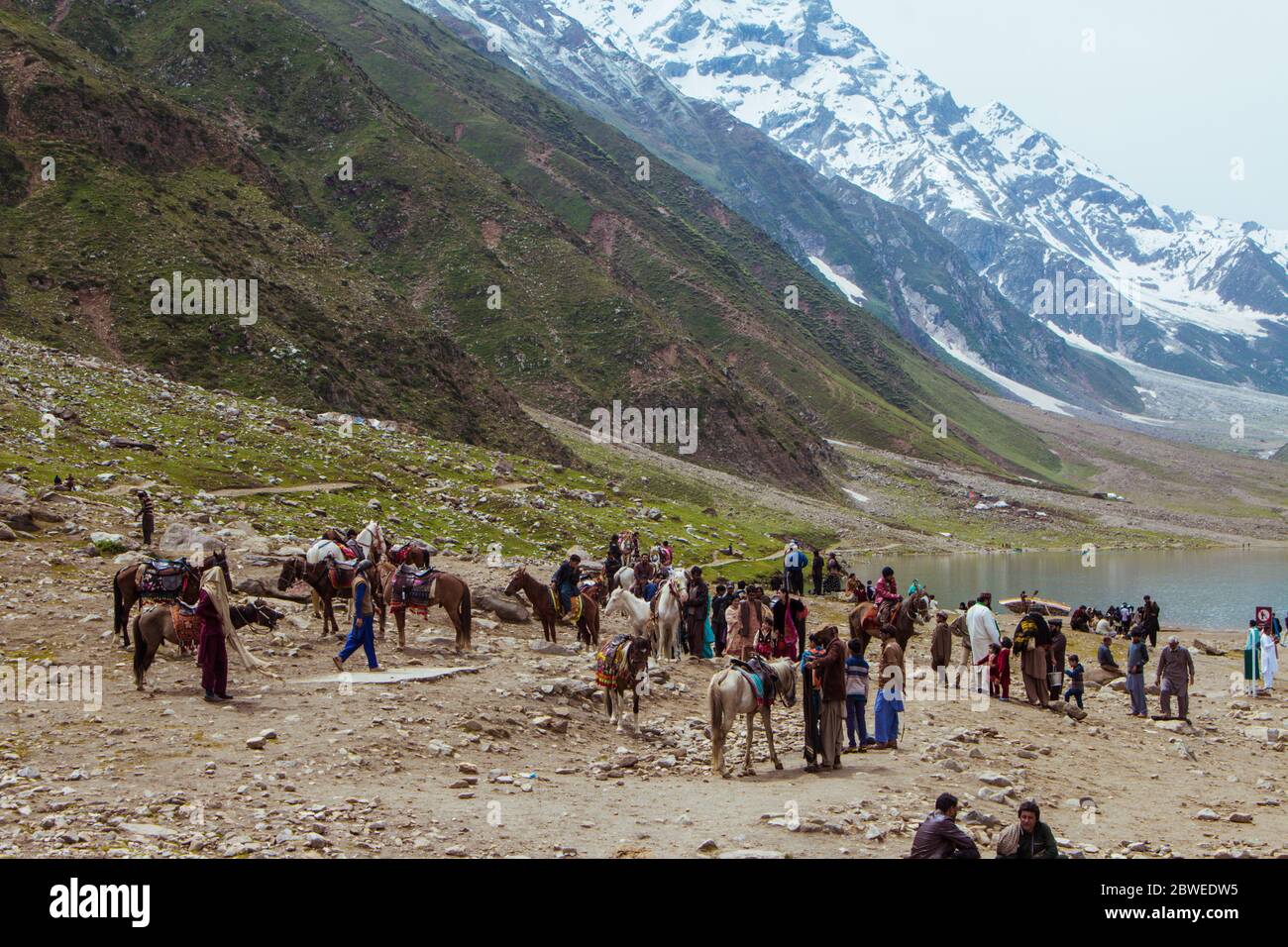 Horses for Tourist at Saif ul Maluk Lake, Naran Valley, Khyber Pakhtunkhua, Pakistan 6/26/2018 Stock Photo