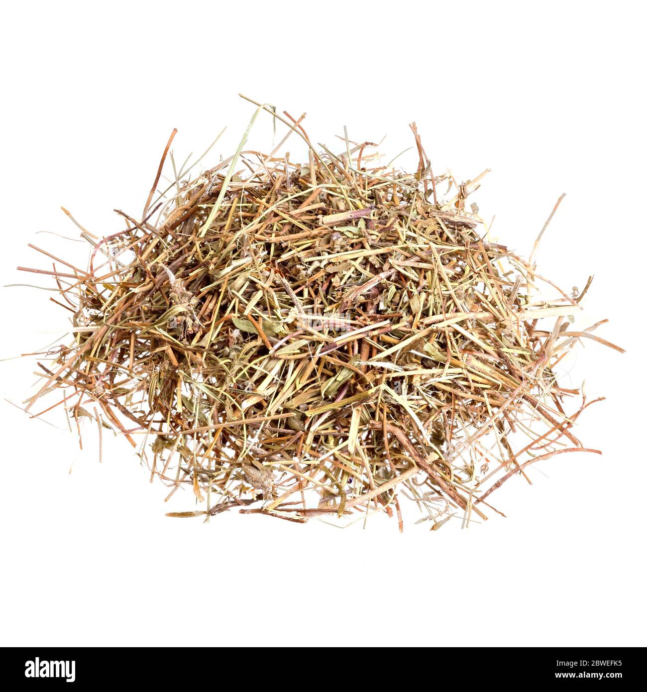 Herb thyme to use as food Stock Photo Alamy