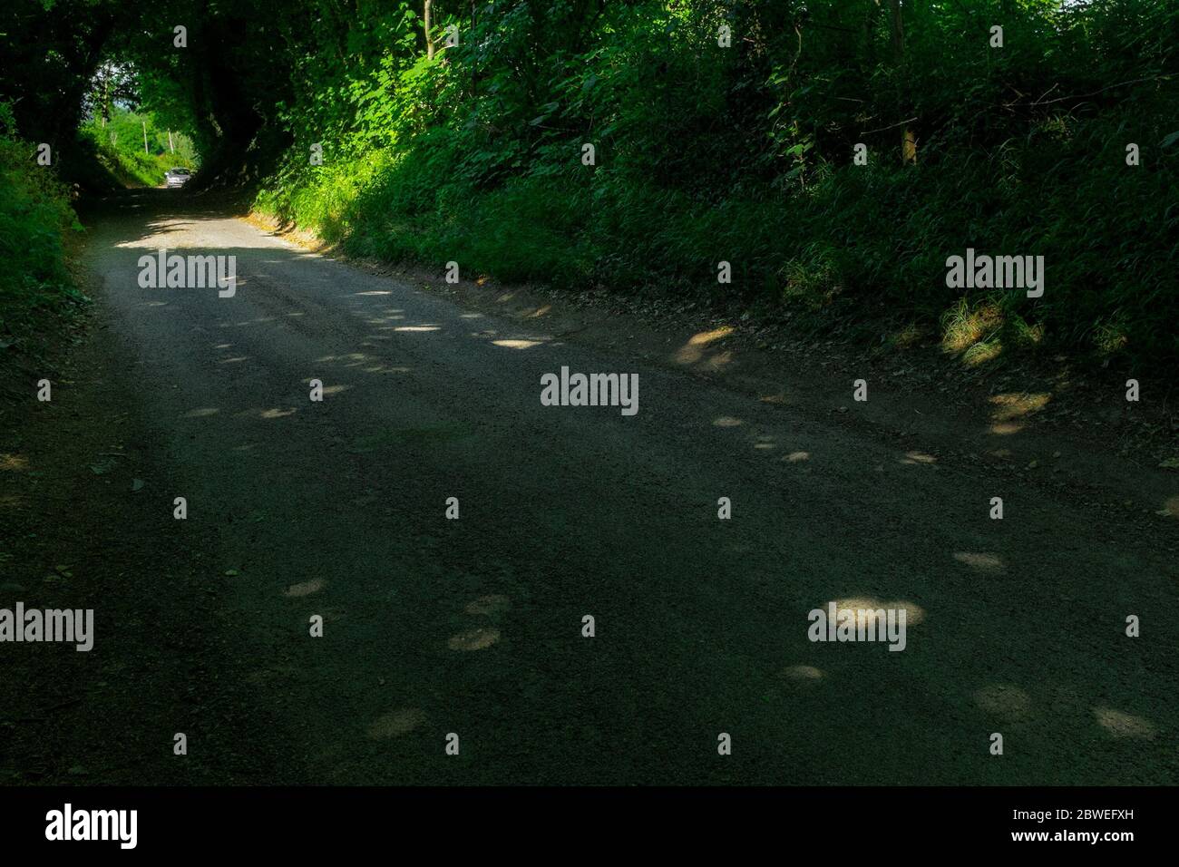 Chanctonbury Ring Road, West Sussex, UK Stock Photo Alamy