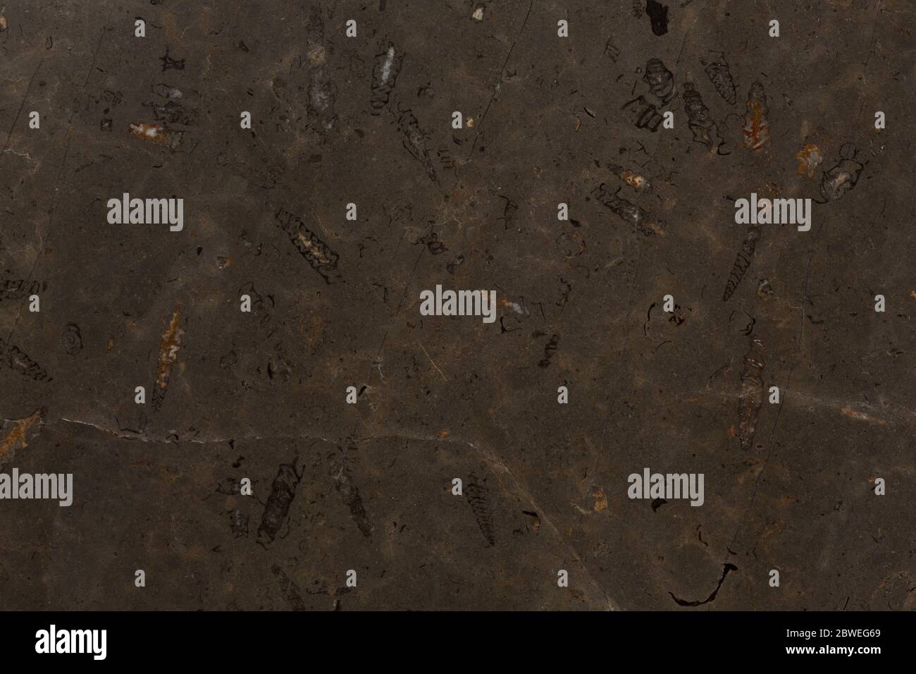 Dark brown marble texture background for your design. Stock Photo