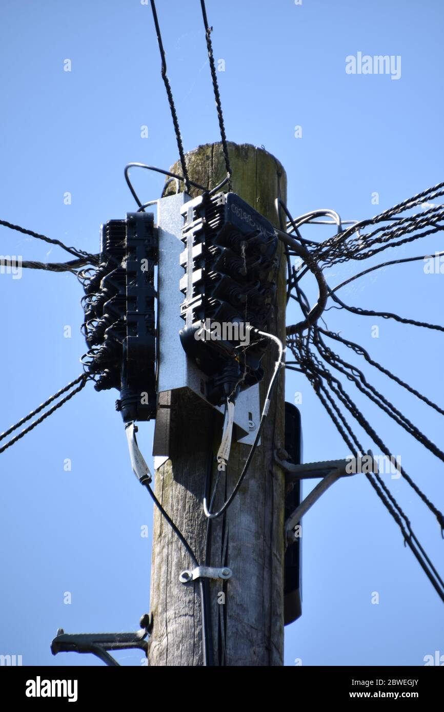 The top of a BT Telegraph pole with Distribution points on Stock Photo