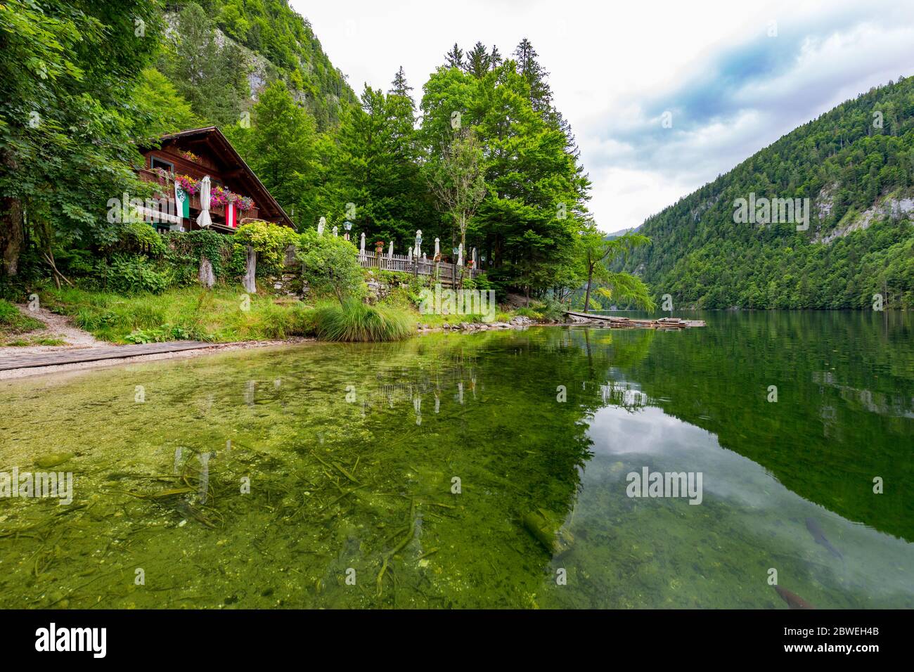 Clear water in a forest lake with pine trees, summer mountain pass. Green mountain lake view, freshness and tranquility. Stock Photo