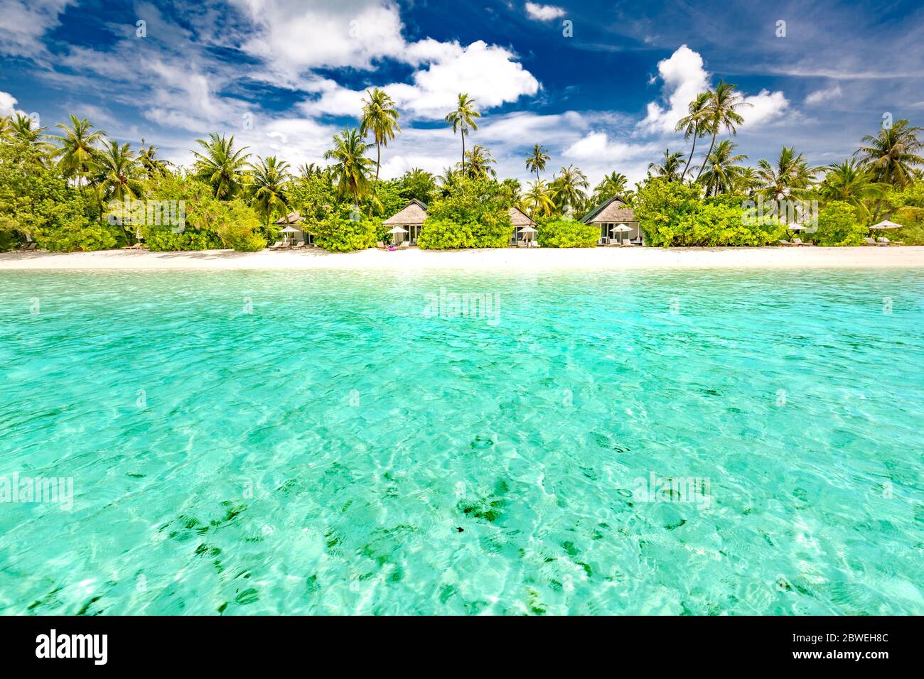 Download wallpaper 1920x1200 maldives, tropical, beach, palm tree