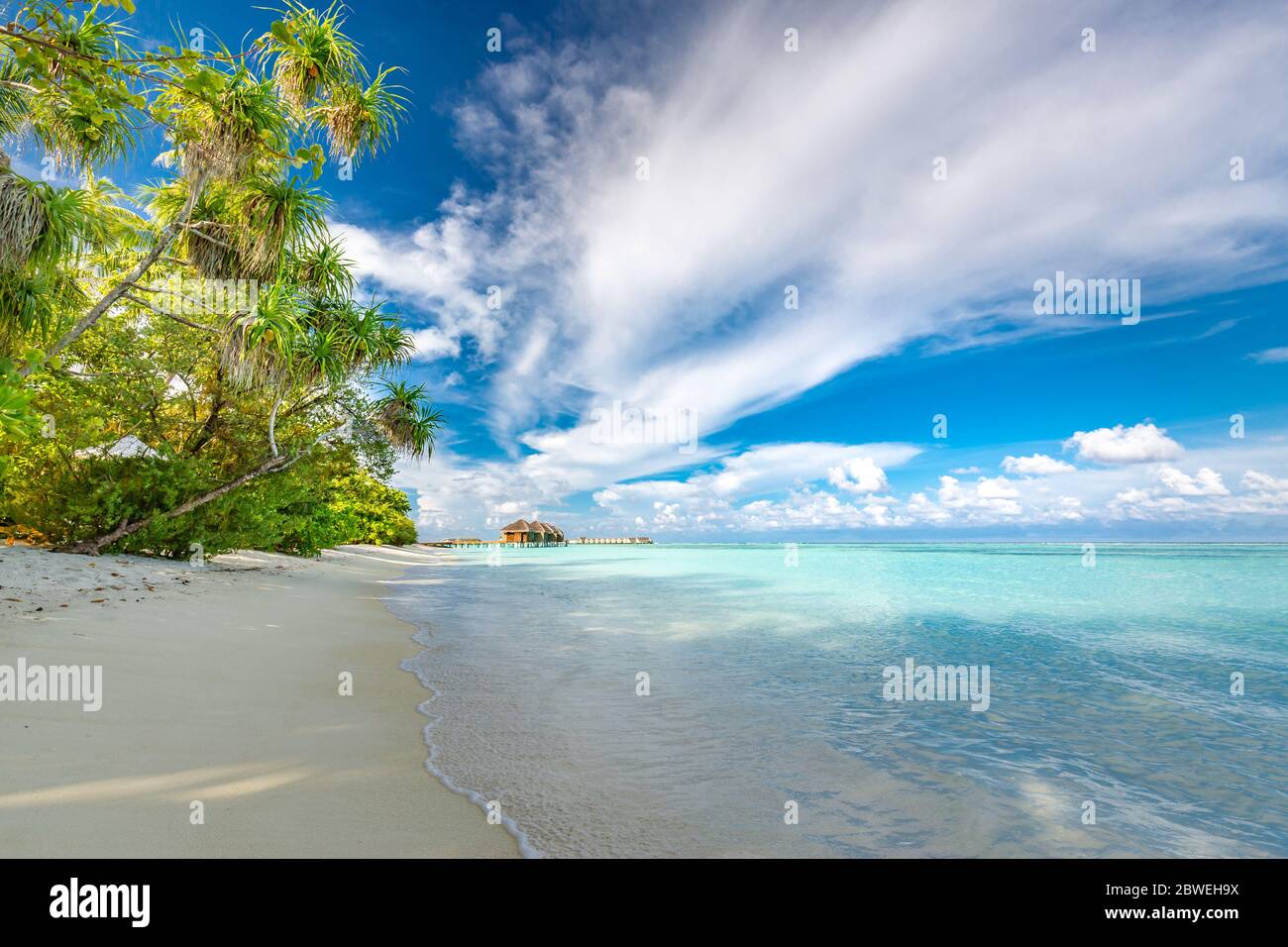Maldives landscape. Tropical beach scene, blue sea and palm trees and white sand, summer vacation and holiday background concept. Exotic Stock Photo