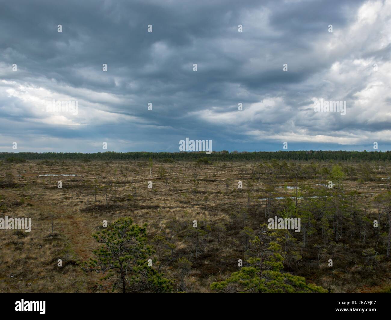 Nice landscape with old peat bog and swamp vegetation, Niedraju Pilka bog, Latvia Stock Photo