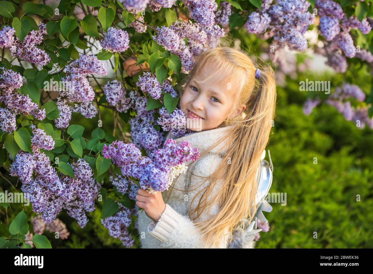 Little girl smelling lilac flowers in sunny day. Stock Photo